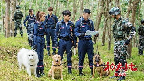 神犬小七第三季在线免费观看  第3张
